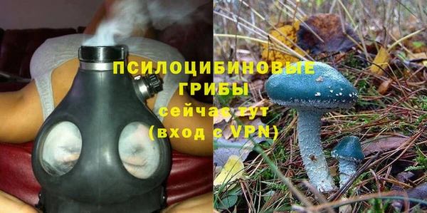 мдпв Богданович
