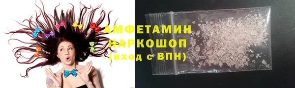 гидра Богородск