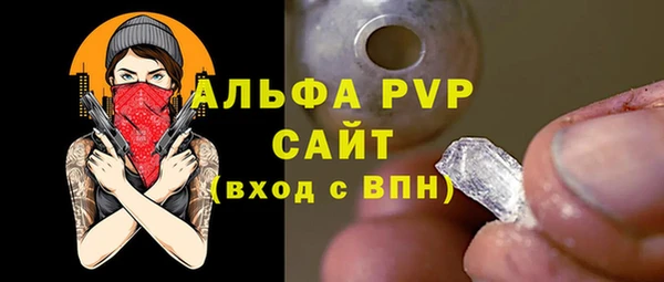 гидра Богородск