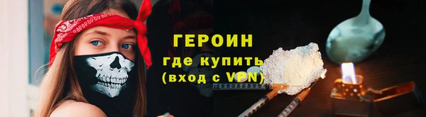 гидра Богородск