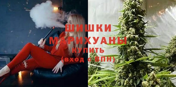 гидра Богородск