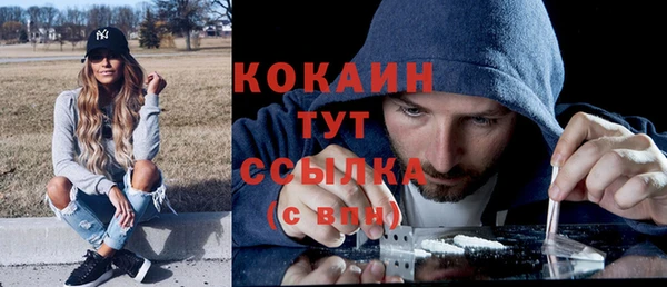 гидра Богородск