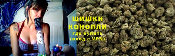 мдпв Богданович