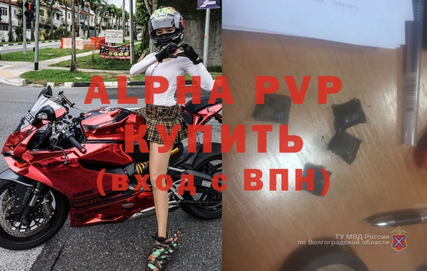 гидра Богородск