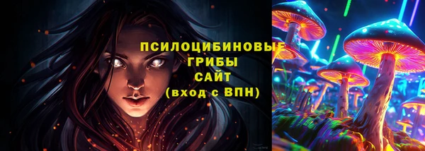 гидра Богородск
