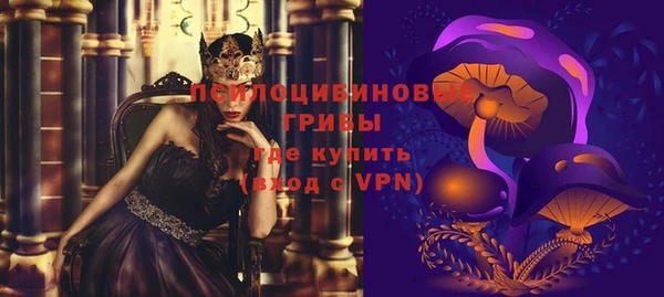 мдпв Богданович