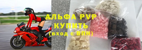 мдпв Богданович
