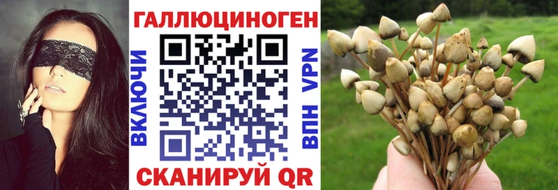 Галлюциногенные грибы мицелий  Реж 